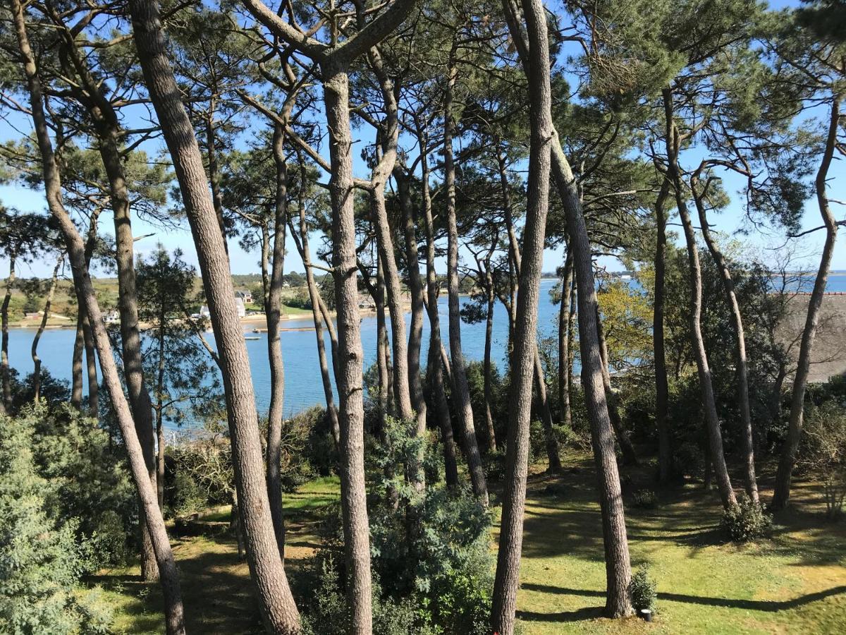 La Villa Bel Ange Hotel Saint-Philibert  Exteriör bild